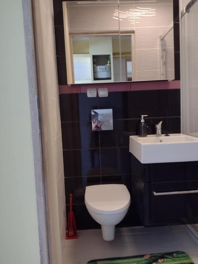 Apartament Elegant Katovice Exteriér fotografie